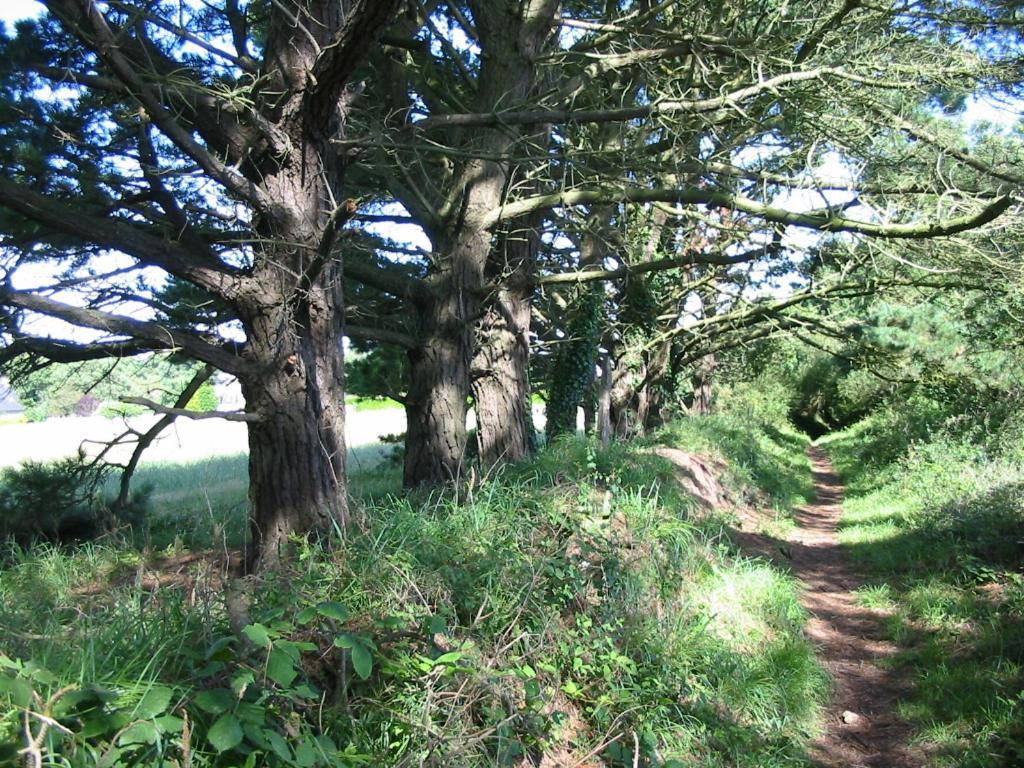 Ploumilliau En Bretagne, Villa De 2 A 8 Pers , Meuble De Tourisme 3 Etoiles Nichee Dans Un Ecrin De Verdure A 2500M De La Plage מראה חיצוני תמונה